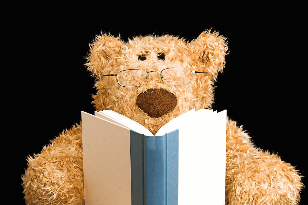 teddy bear reading night before christmas