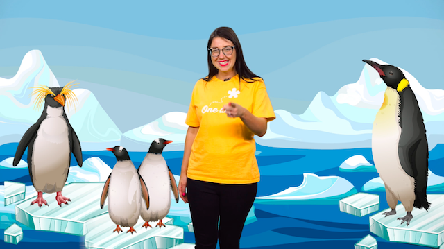 Learn the polar explorers KS1 song about penguins and polar bears